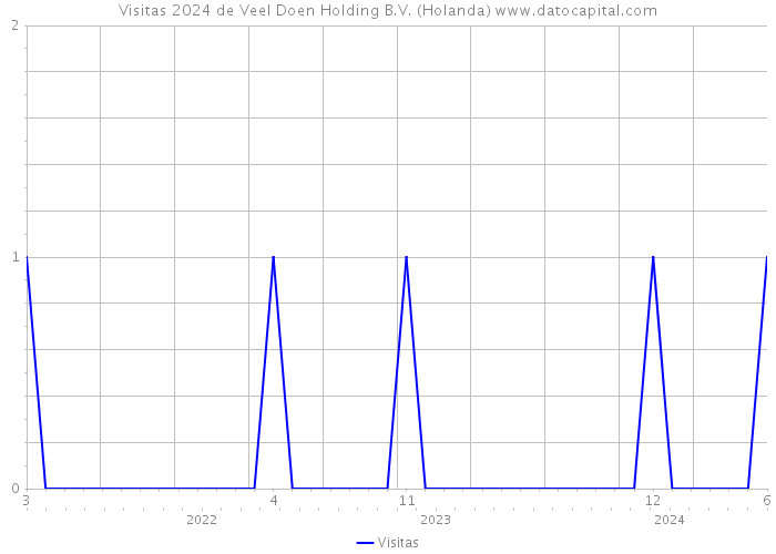 Visitas 2024 de Veel Doen Holding B.V. (Holanda) 