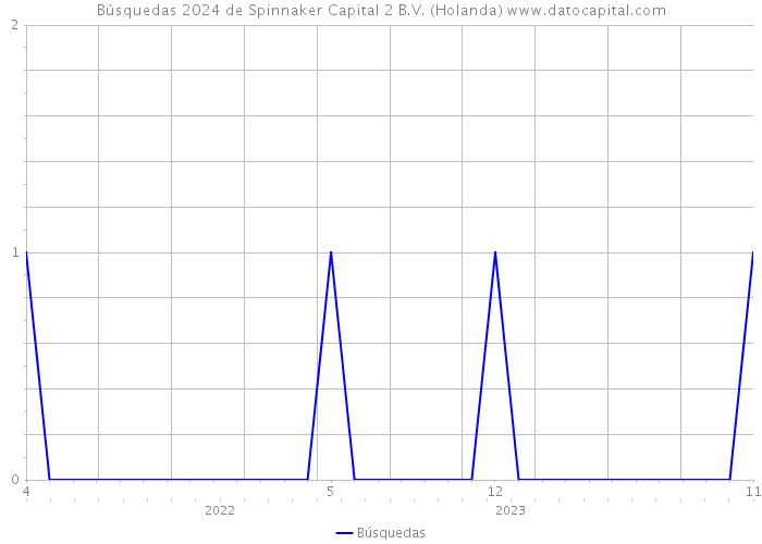 Búsquedas 2024 de Spinnaker Capital 2 B.V. (Holanda) 