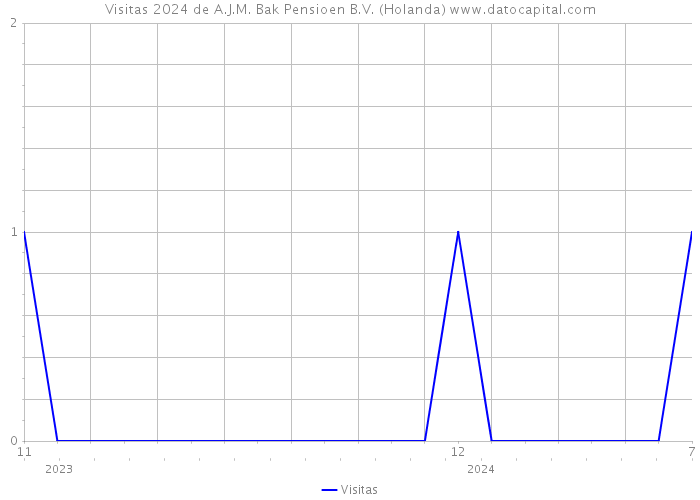 Visitas 2024 de A.J.M. Bak Pensioen B.V. (Holanda) 