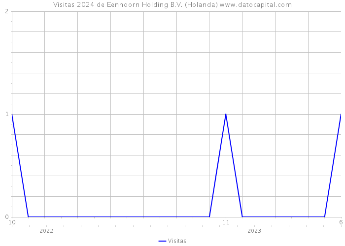 Visitas 2024 de Eenhoorn Holding B.V. (Holanda) 