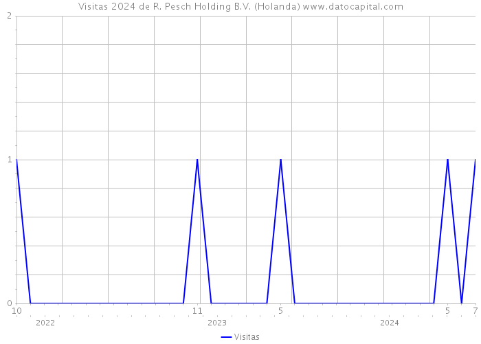 Visitas 2024 de R. Pesch Holding B.V. (Holanda) 