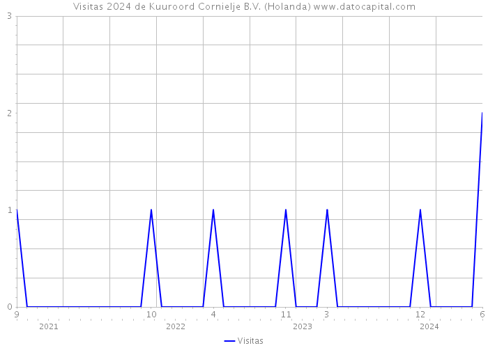 Visitas 2024 de Kuuroord Cornielje B.V. (Holanda) 