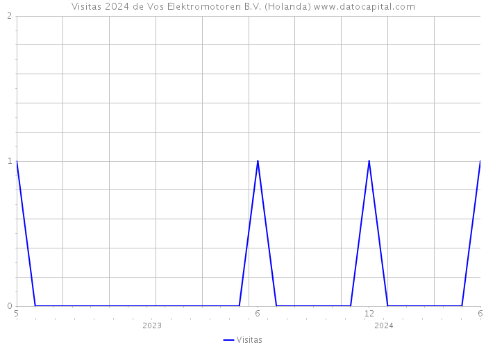 Visitas 2024 de Vos Elektromotoren B.V. (Holanda) 