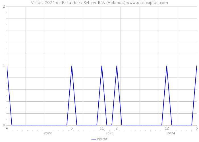 Visitas 2024 de R. Lubbers Beheer B.V. (Holanda) 