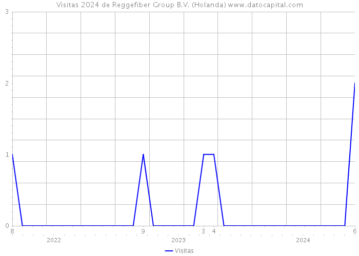 Visitas 2024 de Reggefiber Group B.V. (Holanda) 