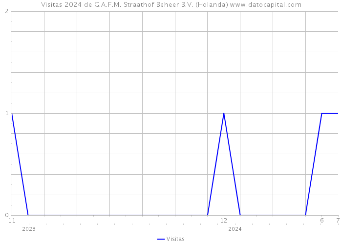 Visitas 2024 de G.A.F.M. Straathof Beheer B.V. (Holanda) 