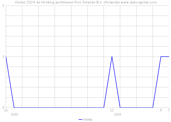 Visitas 2024 de Holding Jachthaven Port Zelande B.V. (Holanda) 