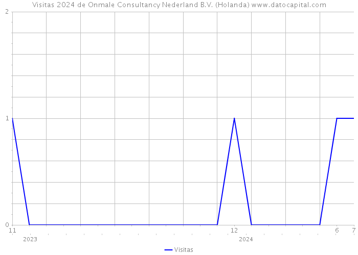 Visitas 2024 de Onmale Consultancy Nederland B.V. (Holanda) 