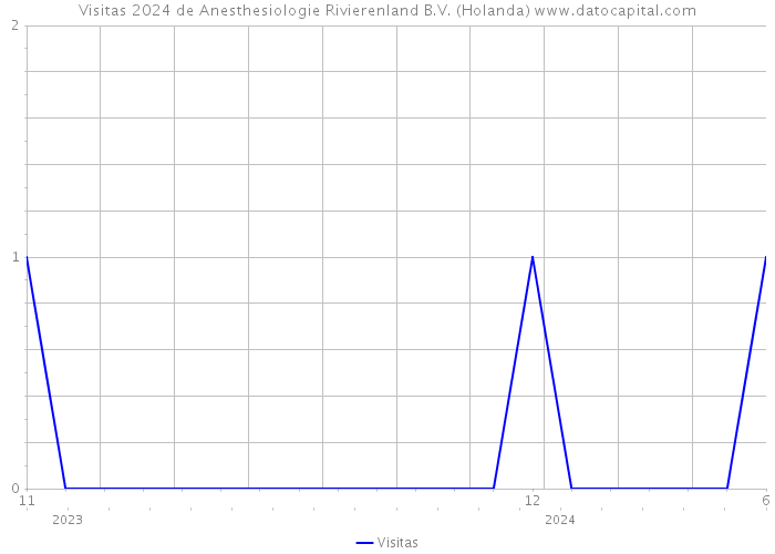Visitas 2024 de Anesthesiologie Rivierenland B.V. (Holanda) 