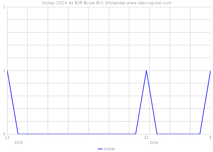 Visitas 2024 de BVR Bouw B.V. (Holanda) 