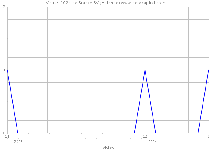 Visitas 2024 de Bracke BV (Holanda) 