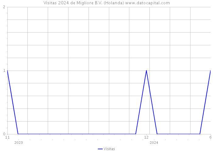 Visitas 2024 de Migliore B.V. (Holanda) 