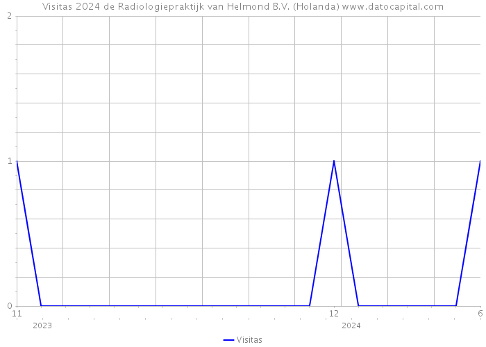 Visitas 2024 de Radiologiepraktijk van Helmond B.V. (Holanda) 