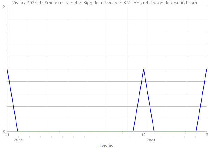 Visitas 2024 de Smulders-van den Biggelaar Pensioen B.V. (Holanda) 