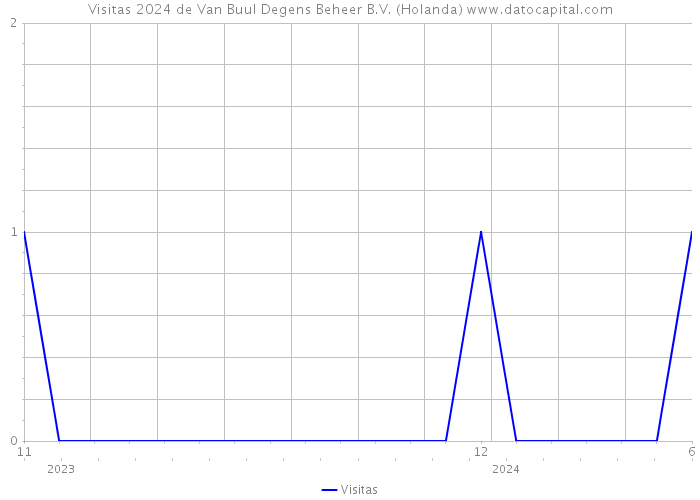 Visitas 2024 de Van Buul Degens Beheer B.V. (Holanda) 