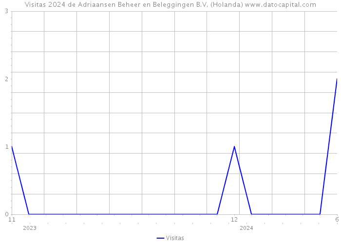 Visitas 2024 de Adriaansen Beheer en Beleggingen B.V. (Holanda) 