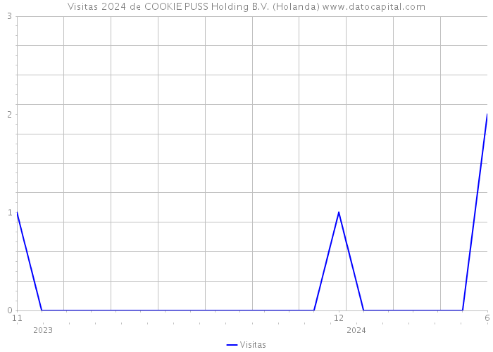 Visitas 2024 de COOKIE PUSS Holding B.V. (Holanda) 