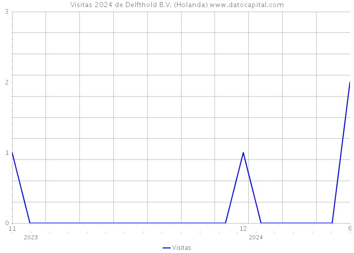 Visitas 2024 de Delfthold B.V. (Holanda) 