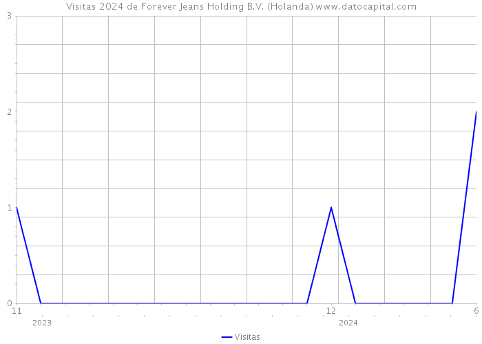 Visitas 2024 de Forever Jeans Holding B.V. (Holanda) 