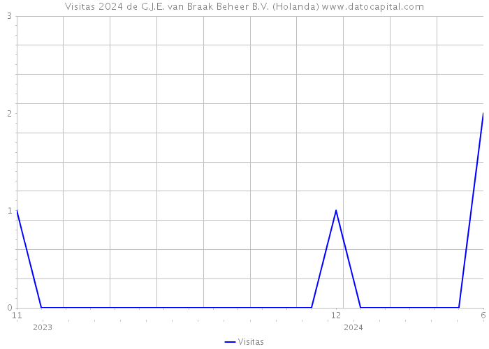 Visitas 2024 de G.J.E. van Braak Beheer B.V. (Holanda) 