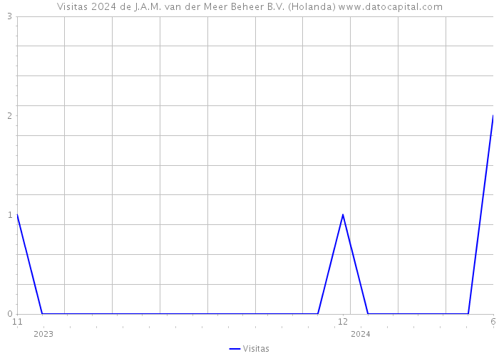 Visitas 2024 de J.A.M. van der Meer Beheer B.V. (Holanda) 