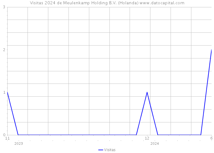 Visitas 2024 de Meulenkamp Holding B.V. (Holanda) 