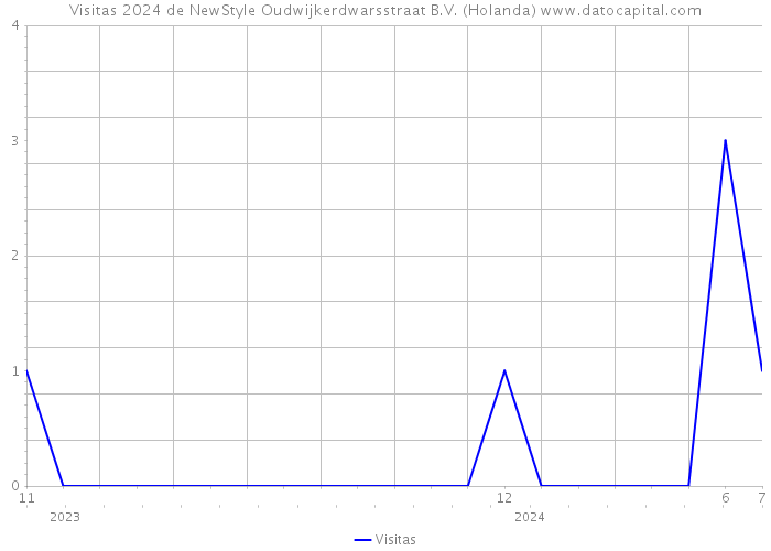 Visitas 2024 de NewStyle Oudwijkerdwarsstraat B.V. (Holanda) 