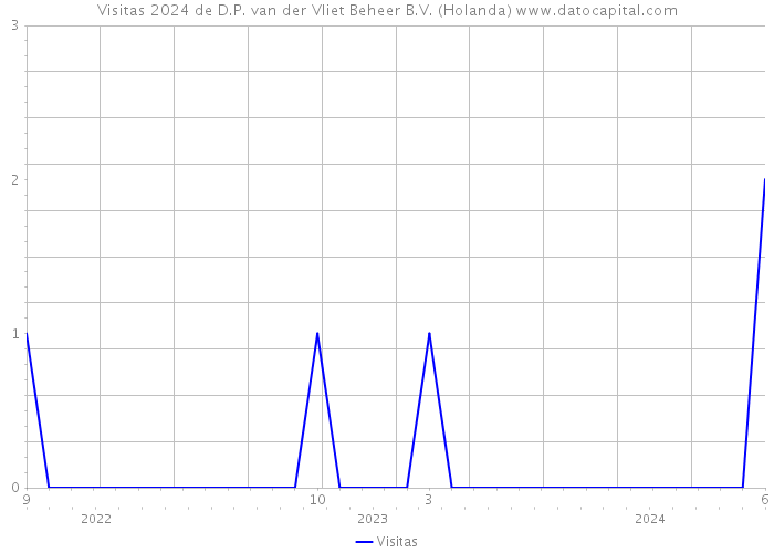 Visitas 2024 de D.P. van der Vliet Beheer B.V. (Holanda) 