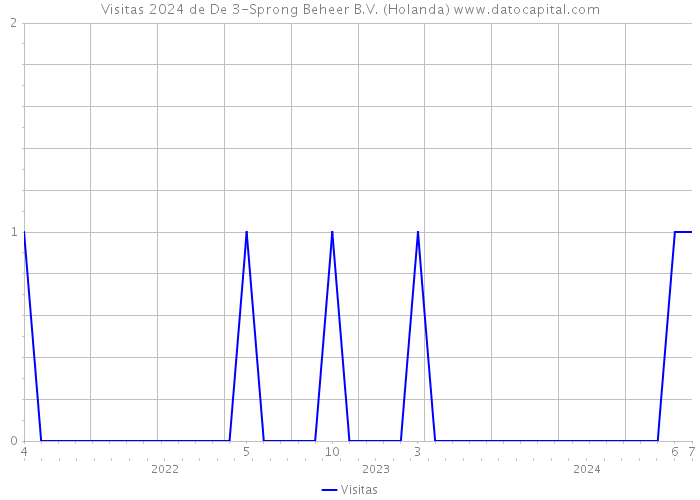 Visitas 2024 de De 3-Sprong Beheer B.V. (Holanda) 