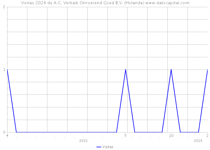 Visitas 2024 de A.C. Verkaik Onroerend Goed B.V. (Holanda) 