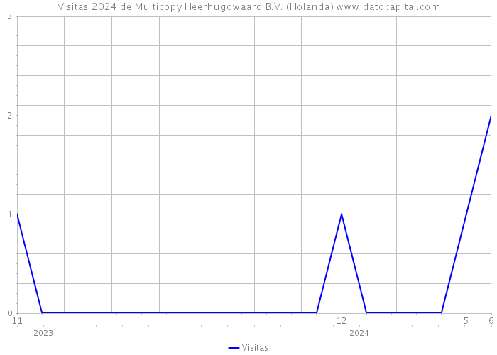 Visitas 2024 de Multicopy Heerhugowaard B.V. (Holanda) 