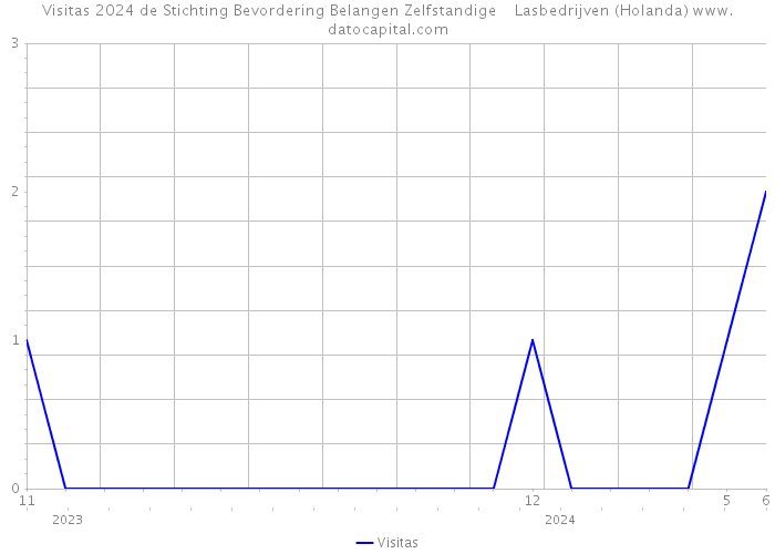 Visitas 2024 de Stichting Bevordering Belangen Zelfstandige Lasbedrijven (Holanda) 