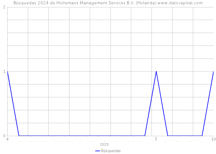Búsquedas 2024 de Hollemans Management Services B.V. (Holanda) 
