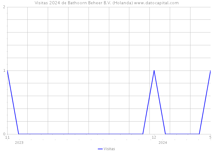 Visitas 2024 de Bathoorn Beheer B.V. (Holanda) 