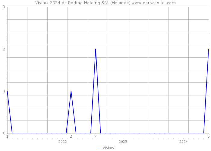 Visitas 2024 de Roding Holding B.V. (Holanda) 