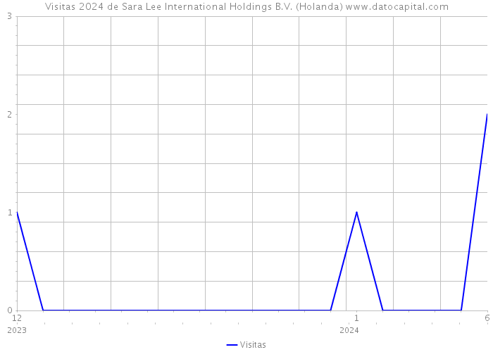 Visitas 2024 de Sara Lee International Holdings B.V. (Holanda) 