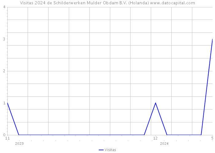 Visitas 2024 de Schilderwerken Mulder Obdam B.V. (Holanda) 