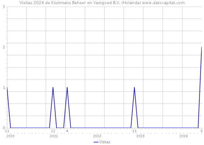 Visitas 2024 de Kluitmans Beheer en Vastgoed B.V. (Holanda) 