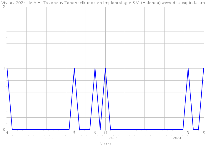 Visitas 2024 de A.H. Toxopeus Tandheelkunde en Implantologie B.V. (Holanda) 