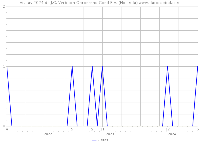 Visitas 2024 de J.C. Verboon Onroerend Goed B.V. (Holanda) 