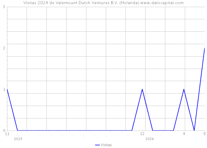 Visitas 2024 de Valemount Dutch Ventures B.V. (Holanda) 