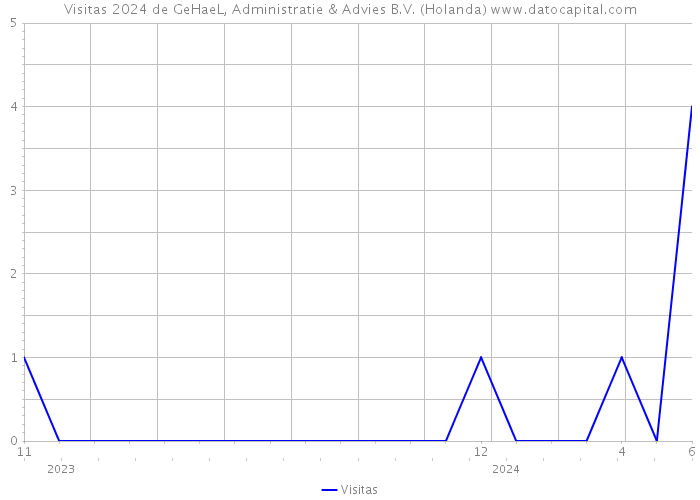 Visitas 2024 de GeHaeL, Administratie & Advies B.V. (Holanda) 