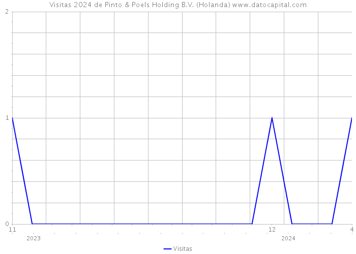 Visitas 2024 de Pinto & Poels Holding B.V. (Holanda) 