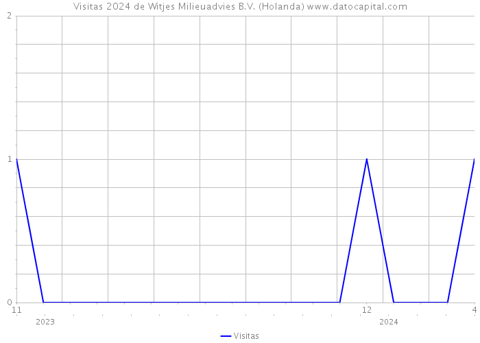 Visitas 2024 de Witjes Milieuadvies B.V. (Holanda) 