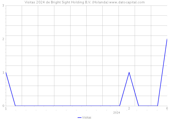 Visitas 2024 de Bright Sight Holding B.V. (Holanda) 
