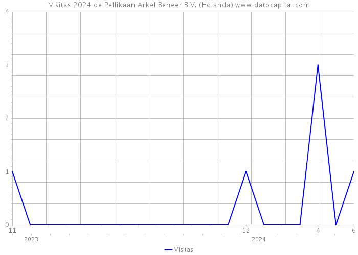 Visitas 2024 de Pellikaan Arkel Beheer B.V. (Holanda) 