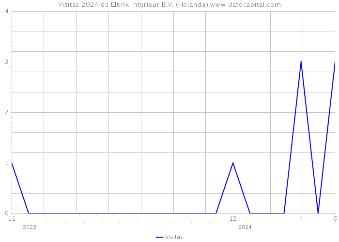 Visitas 2024 de Eltink Interieur B.V. (Holanda) 