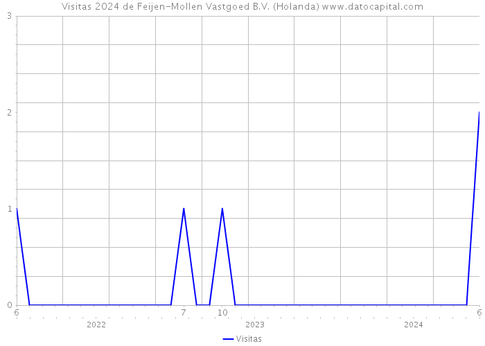 Visitas 2024 de Feijen-Mollen Vastgoed B.V. (Holanda) 