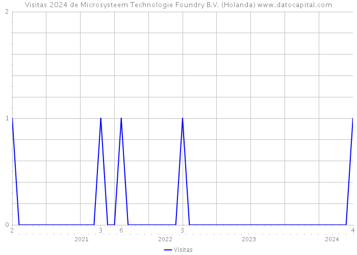 Visitas 2024 de Microsysteem Technologie Foundry B.V. (Holanda) 