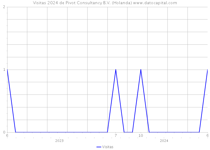 Visitas 2024 de Pivot Consultancy B.V. (Holanda) 